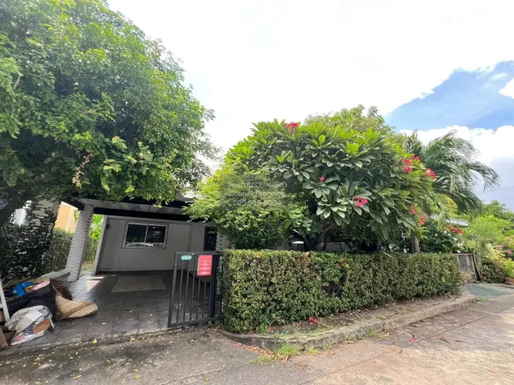 รูปห้องที่แคชไว้จาก Dot Property
